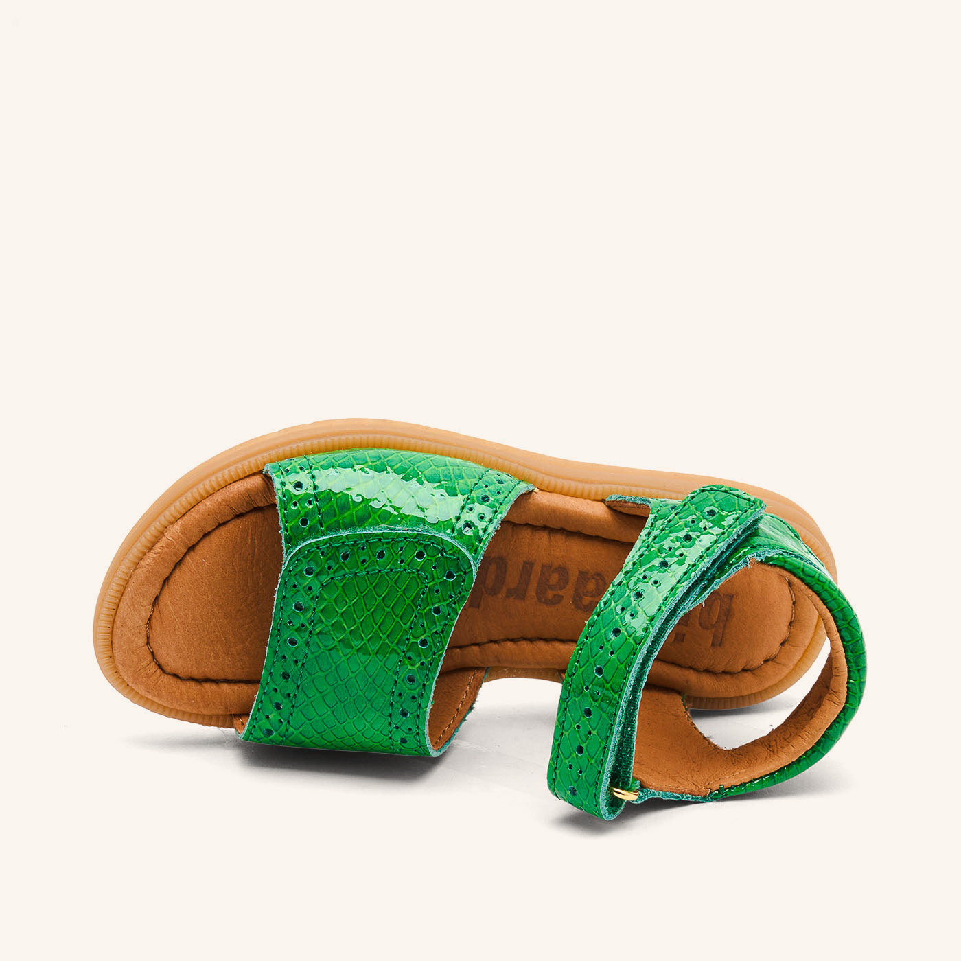 bisgaard andrea green croco