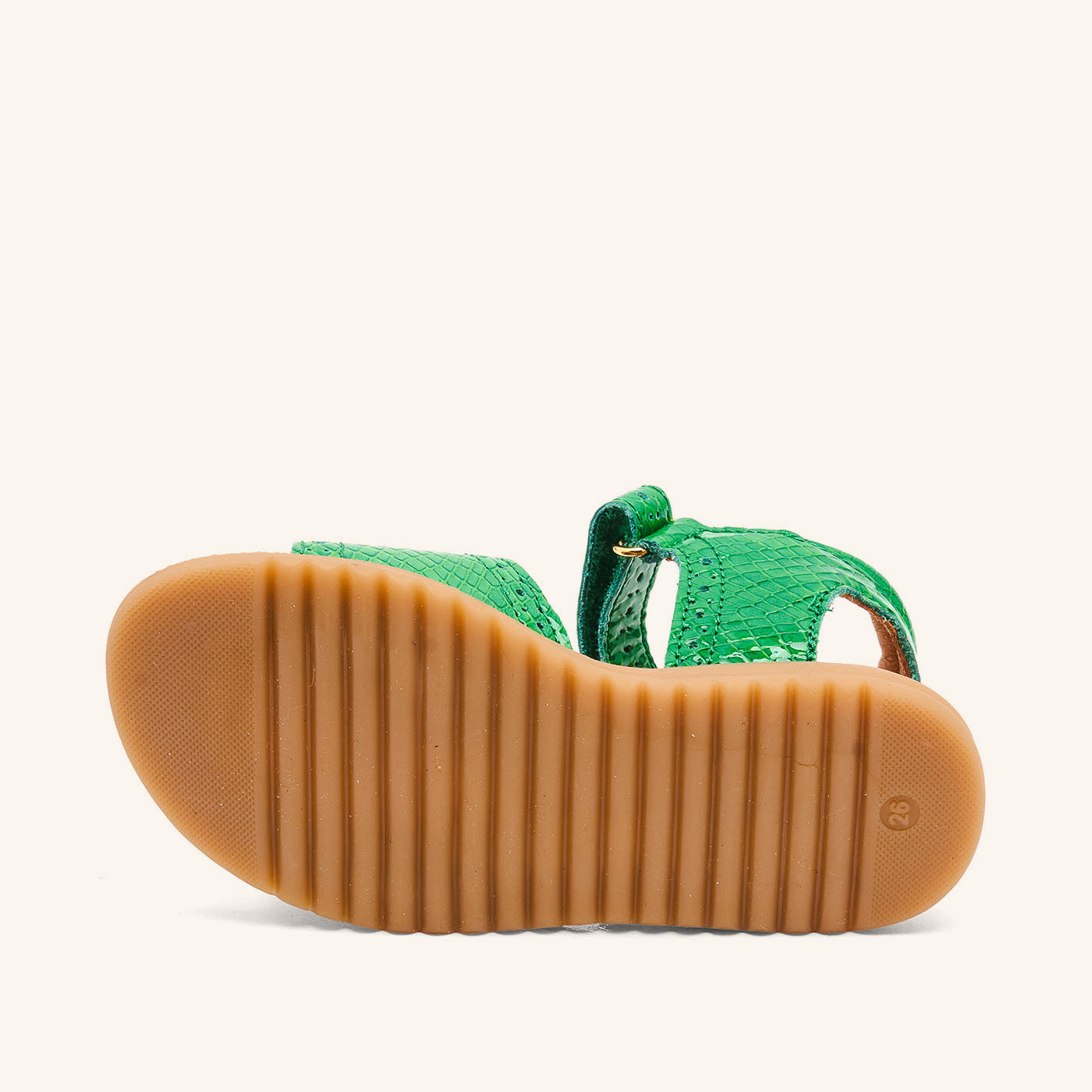 bisgaard andrea green croco