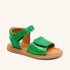 bisgaard andrea green croco