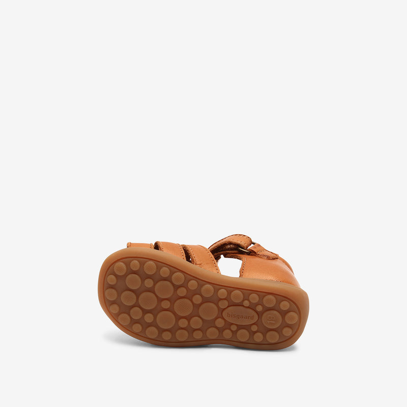 bisgaard carly brandy