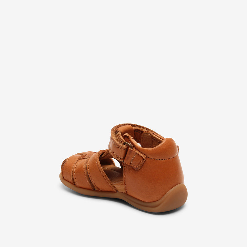 bisgaard carly brandy