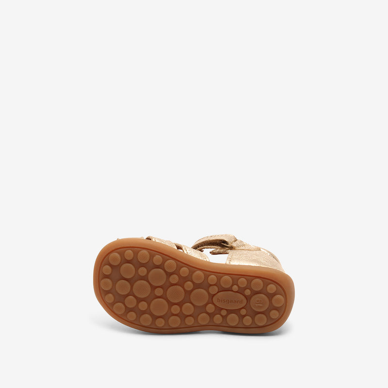 bisgaard carly platin