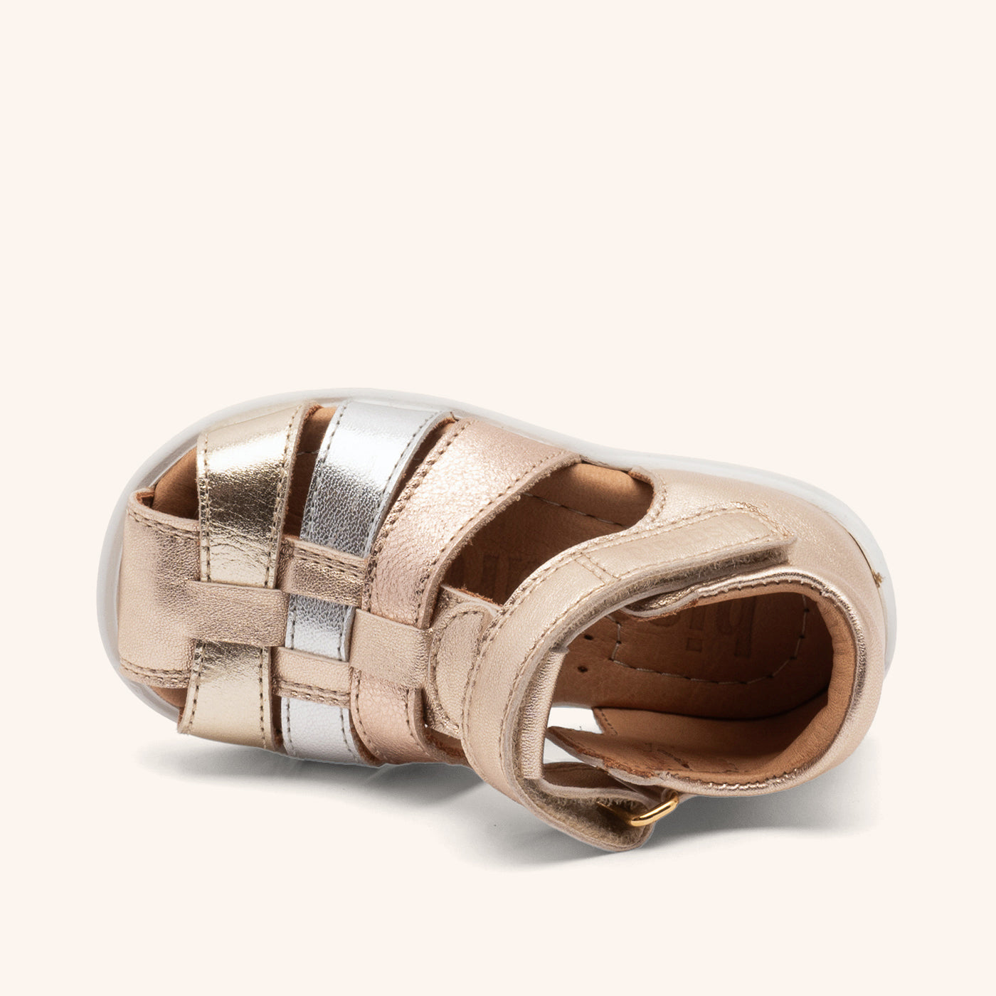 bisgaard carly champagne