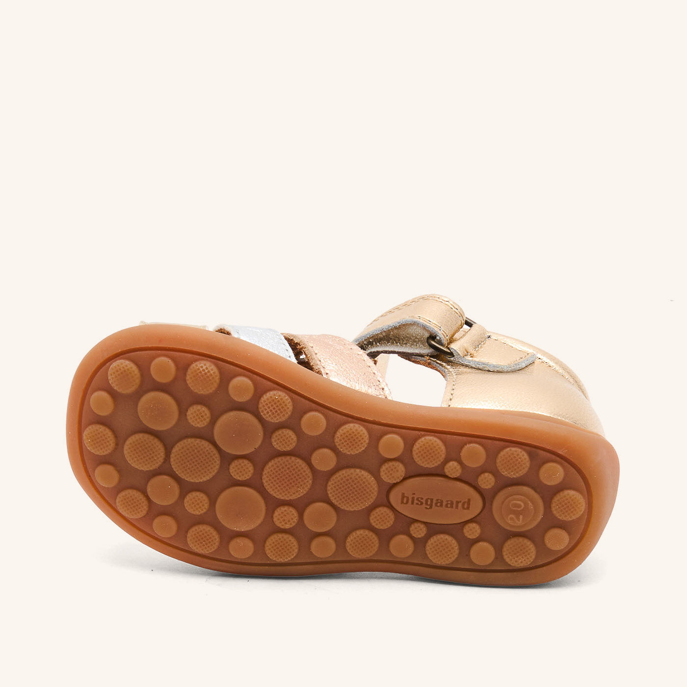 bisgaard carly champagne