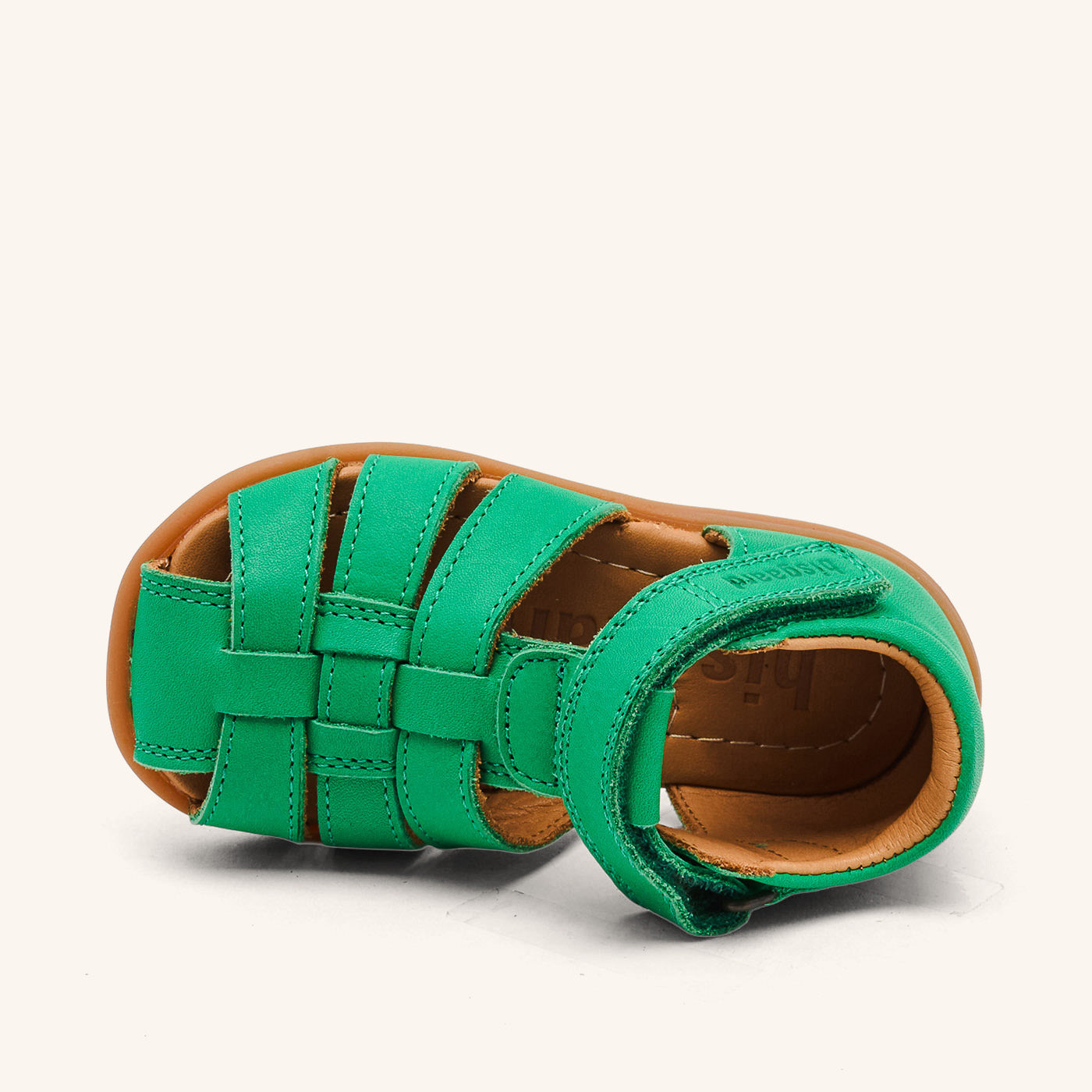 bisgaard carly green