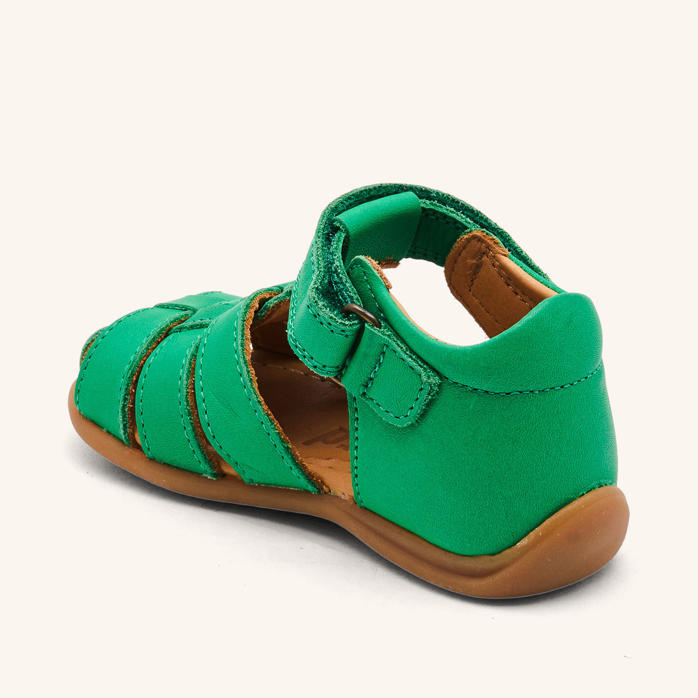 bisgaard carly green