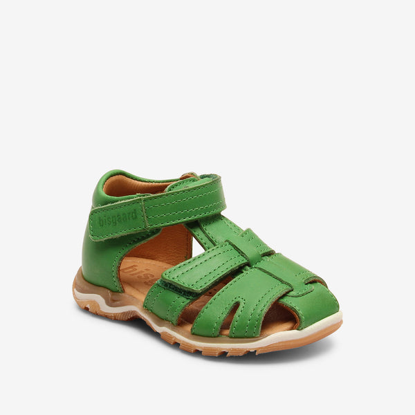bisgaard anni green