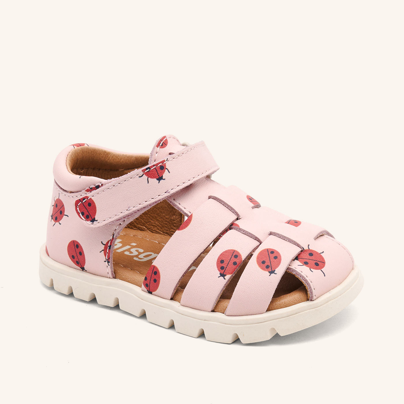 bisgaard beka s lady bugs