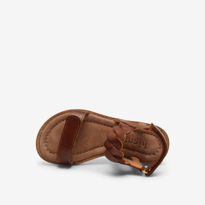 bisgaard cille brown