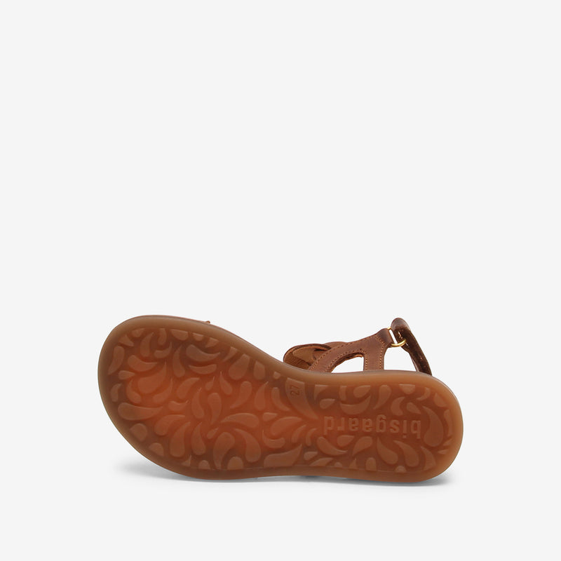 bisgaard cille brown