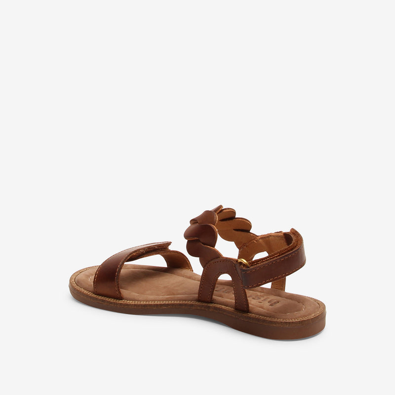 bisgaard cille brown
