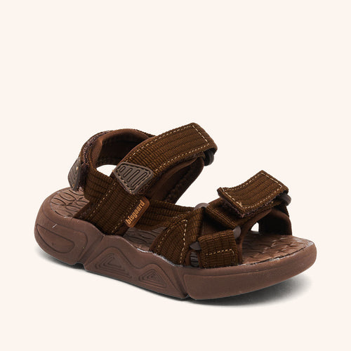 bisgaard louis cacao